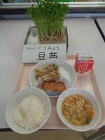 【みやぎ農産の日】豆苗入りかきたま汁
